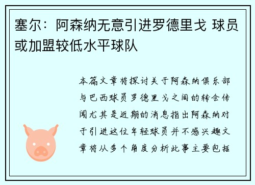 塞尔：阿森纳无意引进罗德里戈 球员或加盟较低水平球队