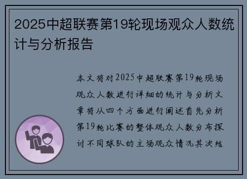 2025中超联赛第19轮现场观众人数统计与分析报告